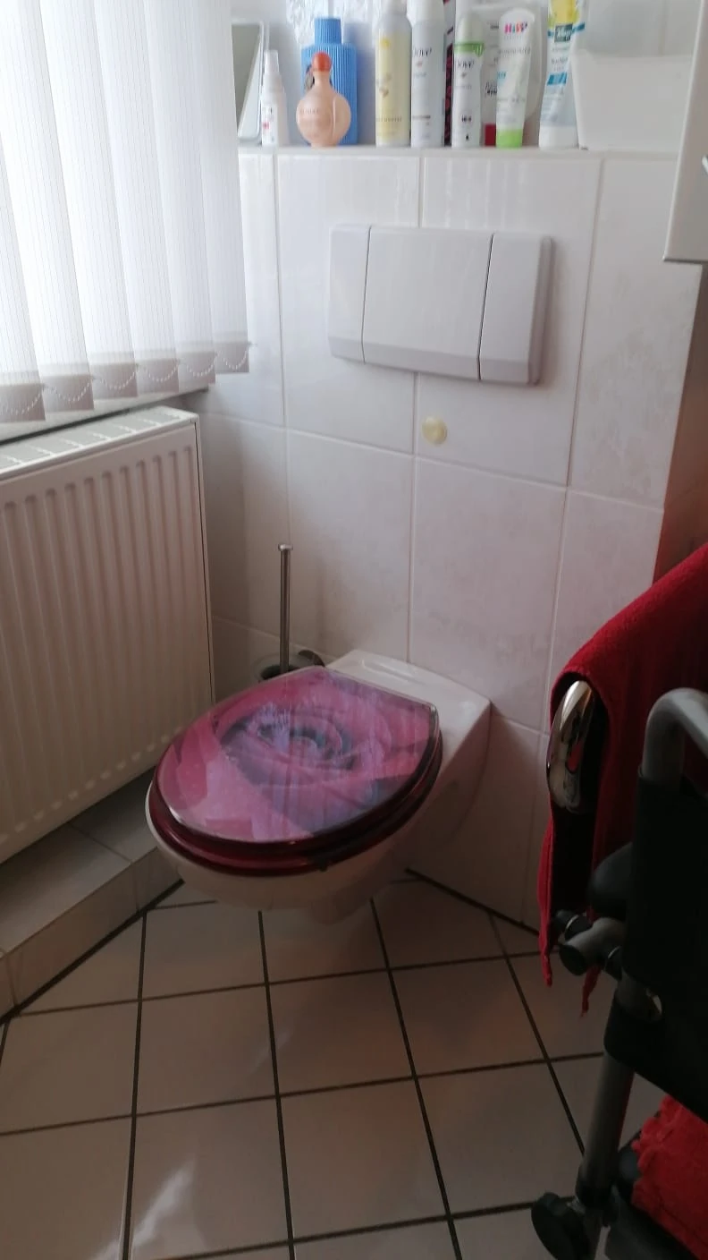 Altes WC mit dekoriertem Sitz
